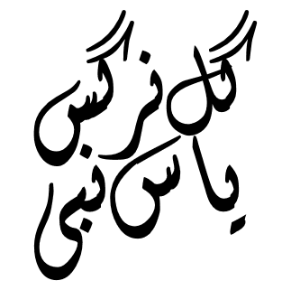  گل نرگس یاس نبی